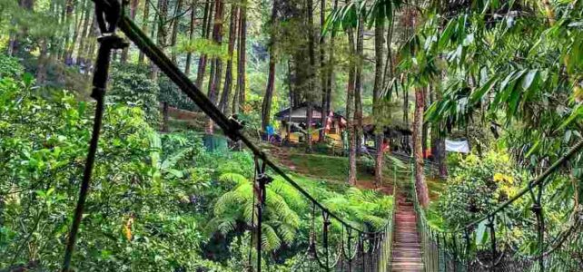 Rekomendasi Tempat Wisata di Bogor yang Menarik Rekomendasi Tempat Wisata di Bogor yang Menarik